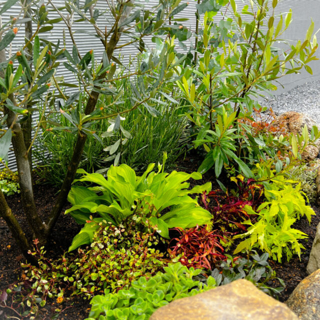 K様邸ガーデニング・外構工事 thumbnail