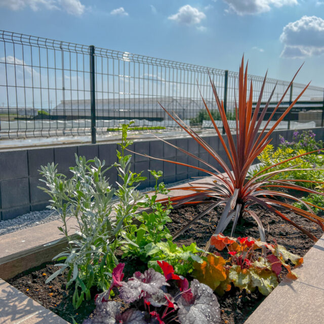 K様邸ガーデニング・外構工事 thumbnail