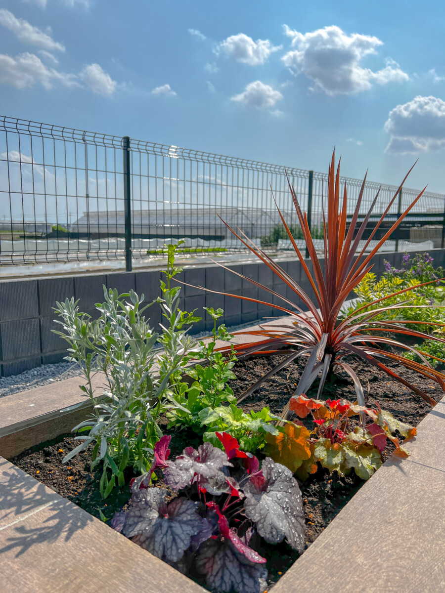 K様邸ガーデニング・外構工事 image