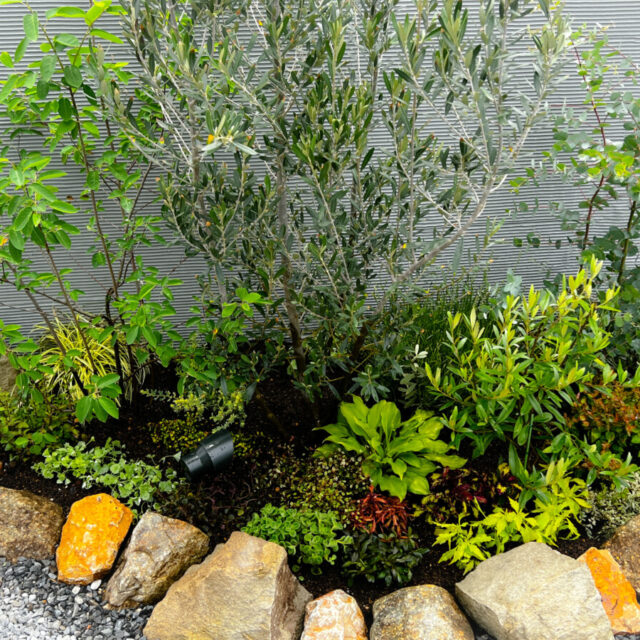 K様邸ガーデニング・外構工事 thumbnail